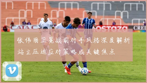 张伟丽卫冕战前对手风格深度解析站立压迫应对策略成关键焦点
